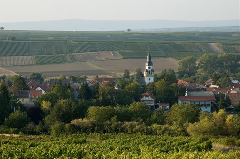 Saulheim 01